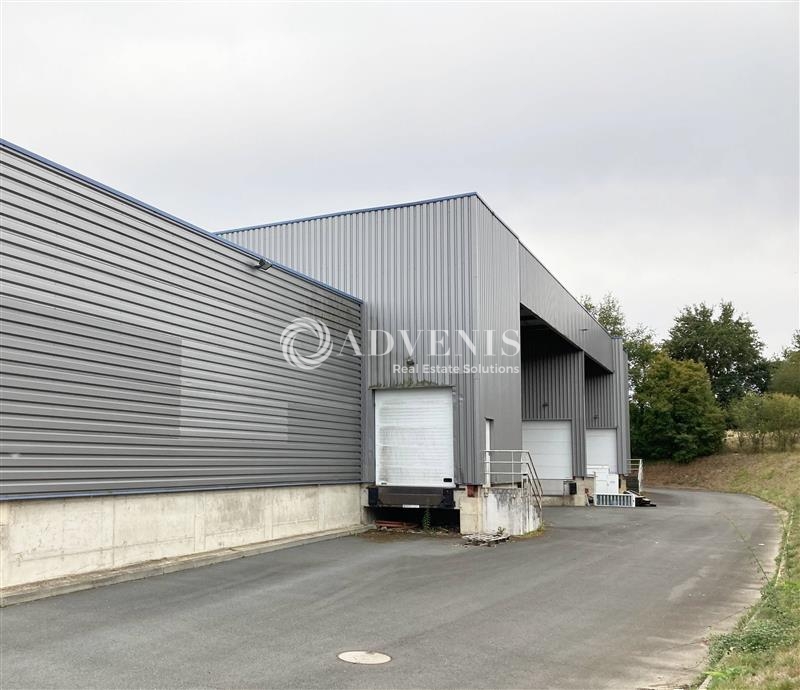 Location Entrepôts SAINT SATURNIN (72650) - Photo 6