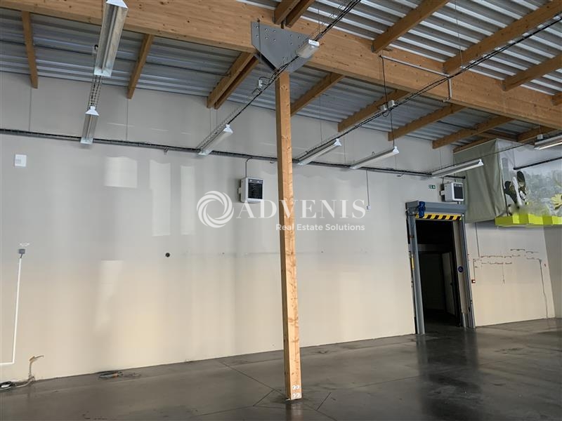 Location Commerces RUAUDIN (72230) - Photo 5