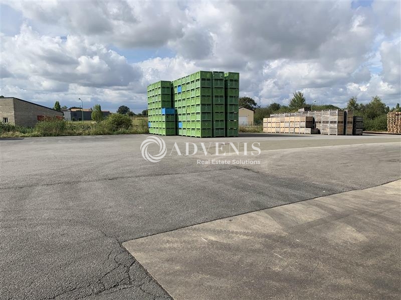 Vente Investisseur Entrepôts LA CHAPELLE D'ALIGNE (72300) - Photo 5