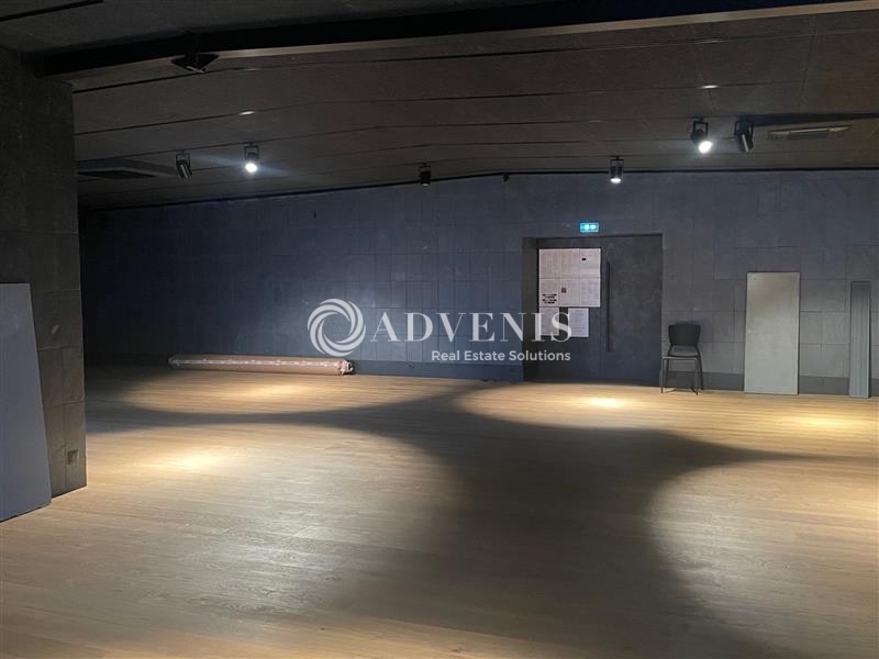 Vente Investisseur Activités Entrepôts SAINT SATURNIN (72650) - Photo 5