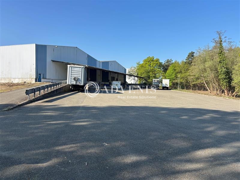 Location Activités Entrepôts MONTFORT LE GESNOIS (72450) - Photo 5