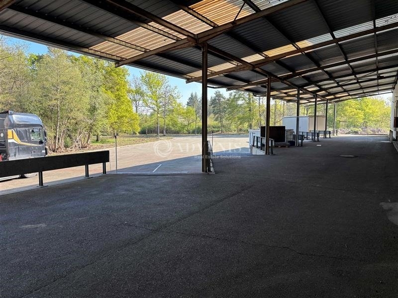 Vente Investisseur Activités Entrepôts MONTFORT LE GESNOIS (72450) - Photo 6