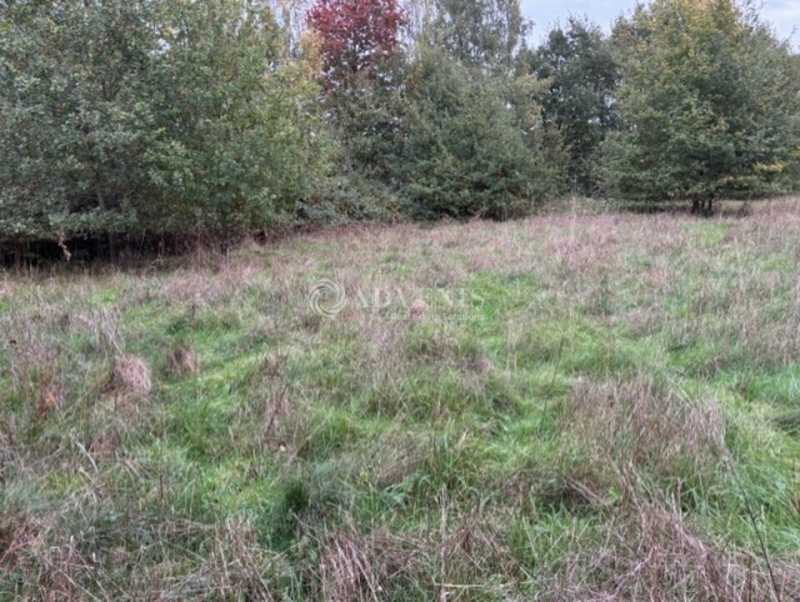 Vente Investisseur Terrain LE MANS (72000) - Photo 1