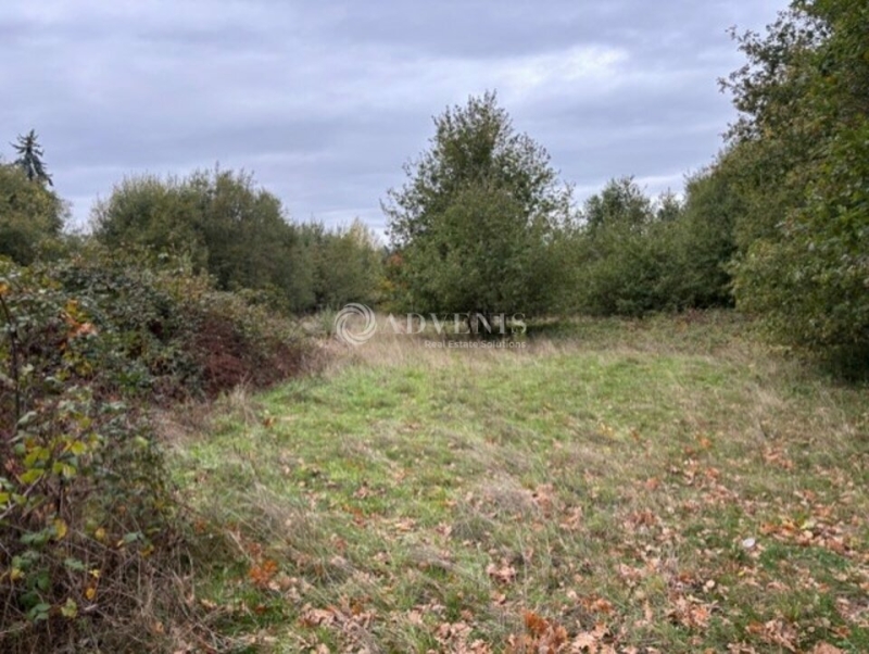 Vente Investisseur Terrain LE MANS (72000) - Photo 2