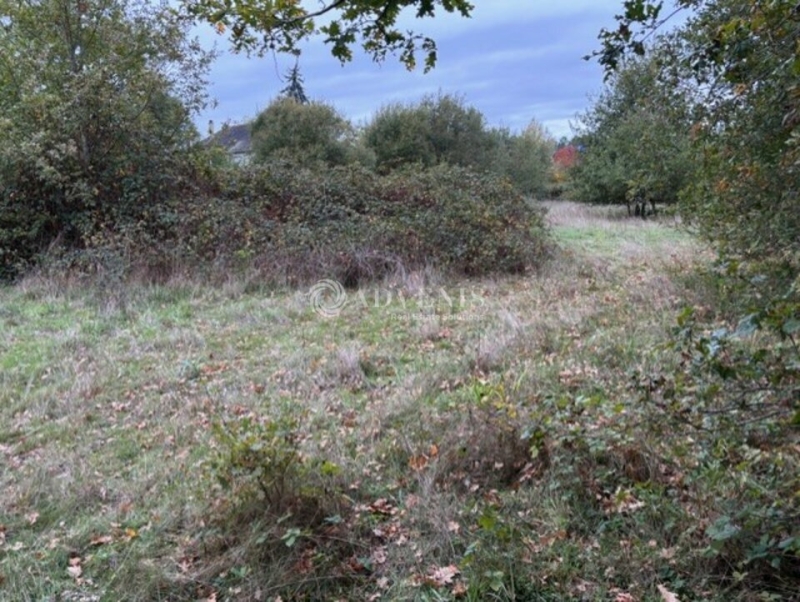 Vente Investisseur Terrain LE MANS (72000) - Photo 3