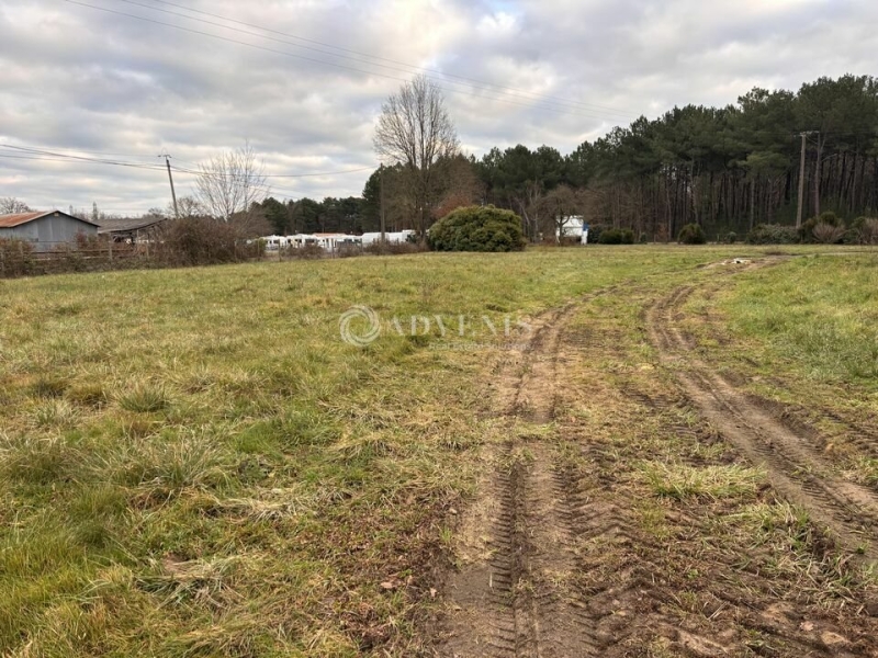 Vente Investisseur Terrain MONCE EN BELIN (72230) - Photo 3
