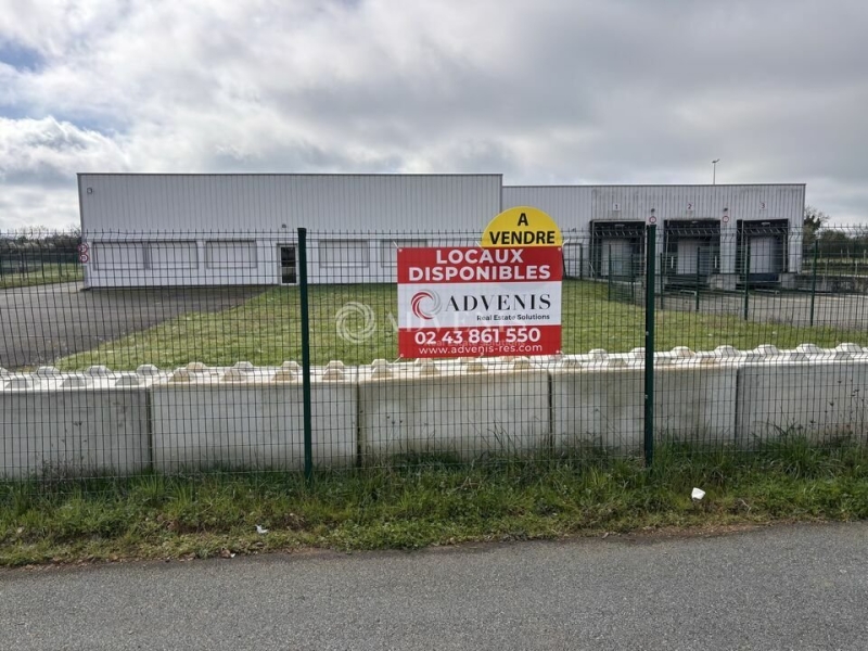 Vente Investisseur Activités Entrepôts ALLONNES (72700) - Photo 1