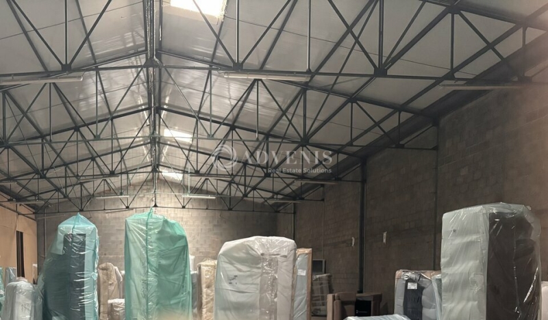 Vente Investisseur Activités Entrepôts SAINT PAVACE (72190) - Photo 1