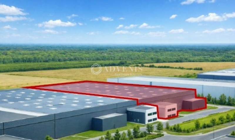 Location Entrepôts FERRIÈRES-EN-BRIE (77164) - Photo 4