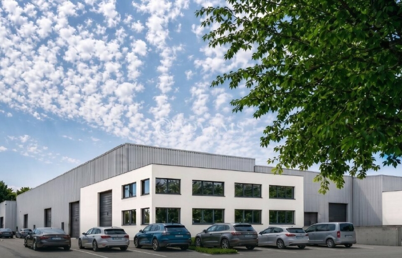 Location Entrepôts CROISSY BEAUBOURG (77183) - Photo 4