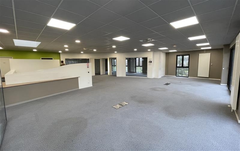 Location Activités Entrepôts BUSSY SAINT MARTIN (77600) - Photo 10