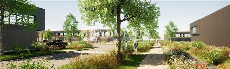 Location Entrepôts BRIE COMTE ROBERT (77170) - Photo 3