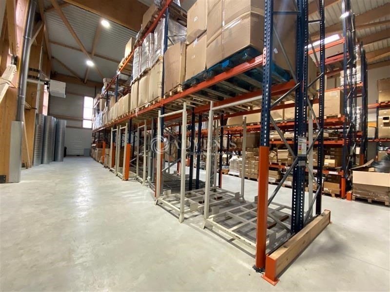 Vente Investisseur Activités Entrepôts SERRIS (77700) - Photo 2