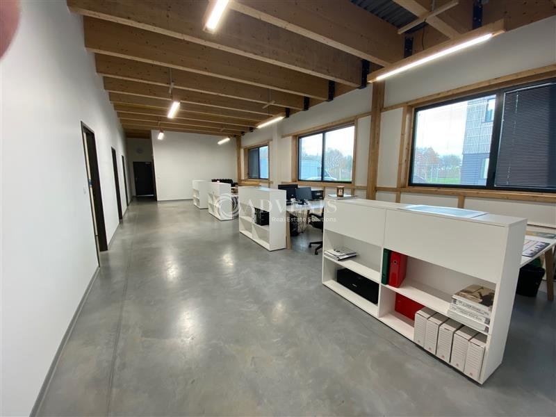 Vente Investisseur Activités Entrepôts SERRIS (77700) - Photo 5