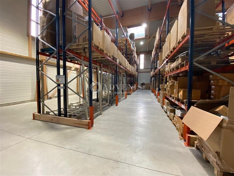 Vente Investisseur Activités Entrepôts SERRIS (77700) - Photo 9