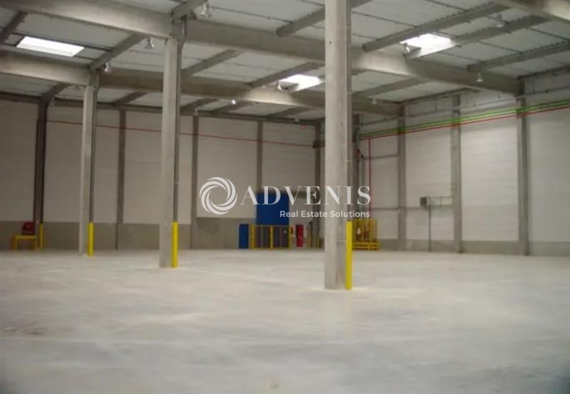 Location Entrepôts MITRY MORY (77290) - Photo 4