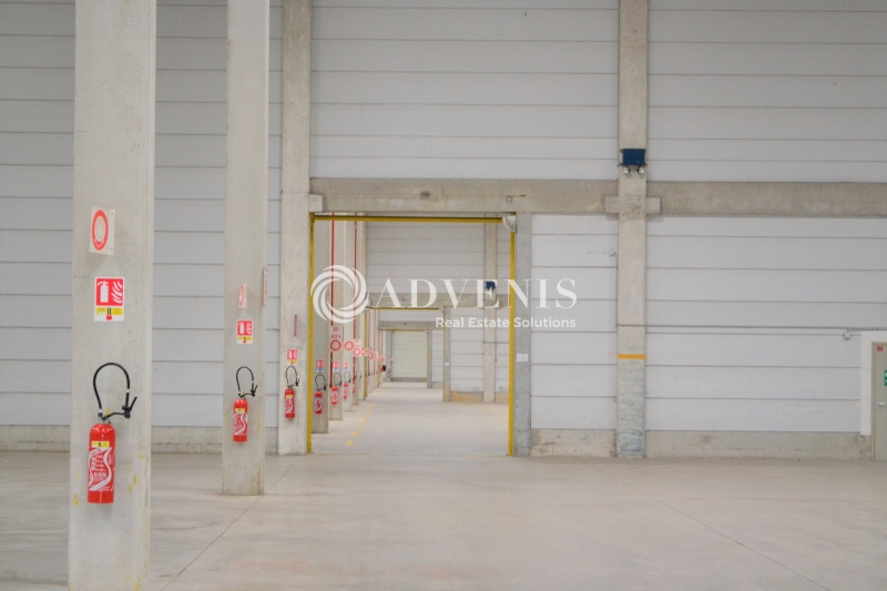Location Entrepôts MARLY LA VILLE (95670) - Photo 5
