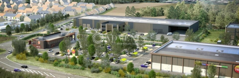 Vente Investisseur Activités Entrepôts SURVILLIERS (95470) - Photo 1