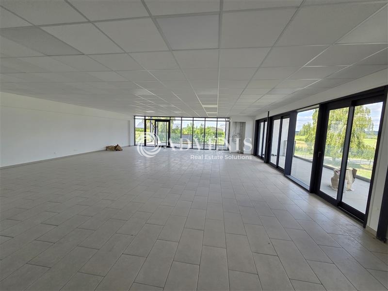 Location Activités Entrepôts VILLENEUVE SOUS DAMMARTIN (77230) - Photo 5