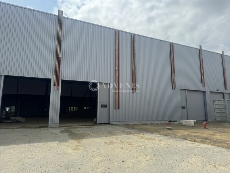 Vente Investisseur Activités Entrepôts LOUVRES (95380) - Photo 5