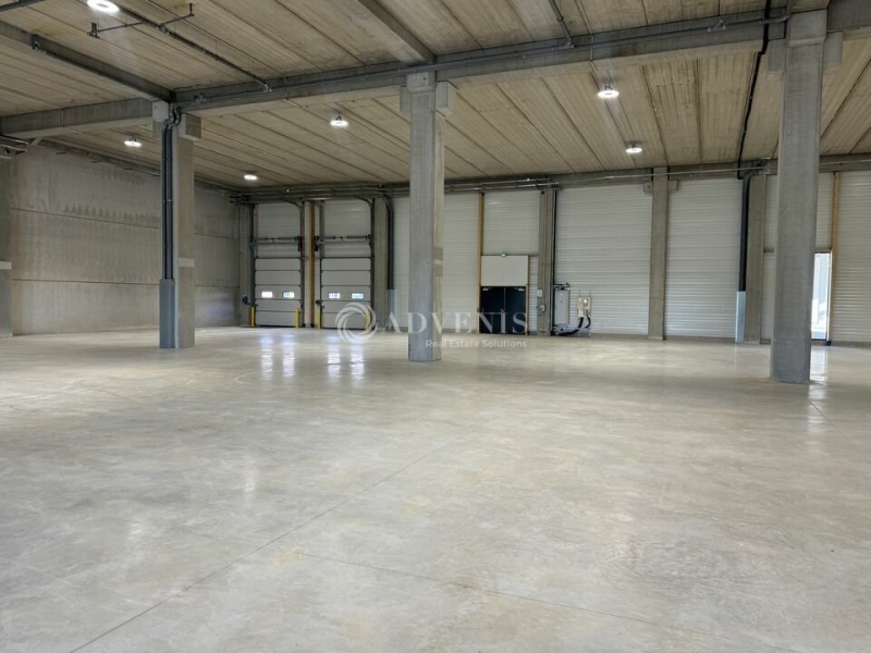 Location Entrepôts TREMBLAY EN FRANCE (93290) - Photo 6