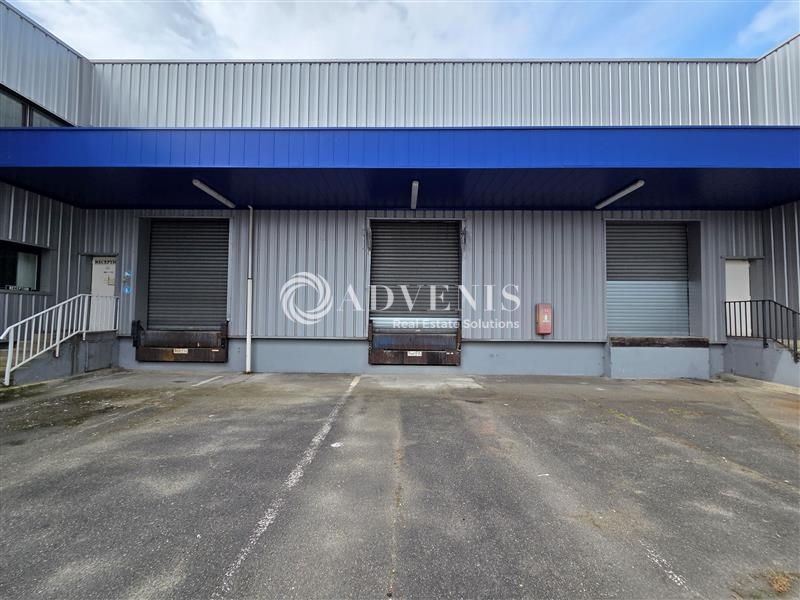 Location Entrepôts LOUVRES (95380) - Photo 10