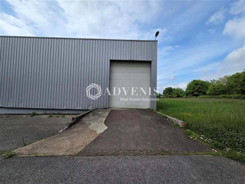 Location Entrepôts LOUVRES (95380) - Photo 11
