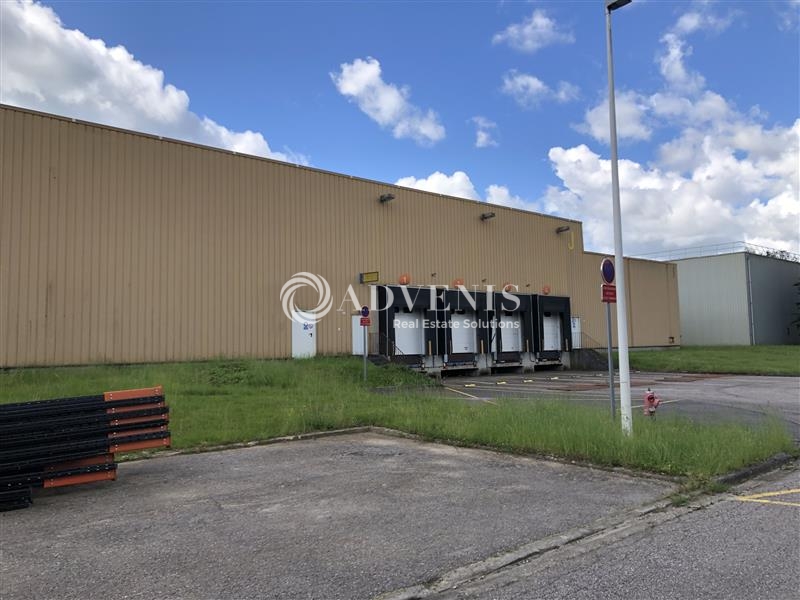 Location Entrepôts GONDREVILLE (54840) - Photo 8