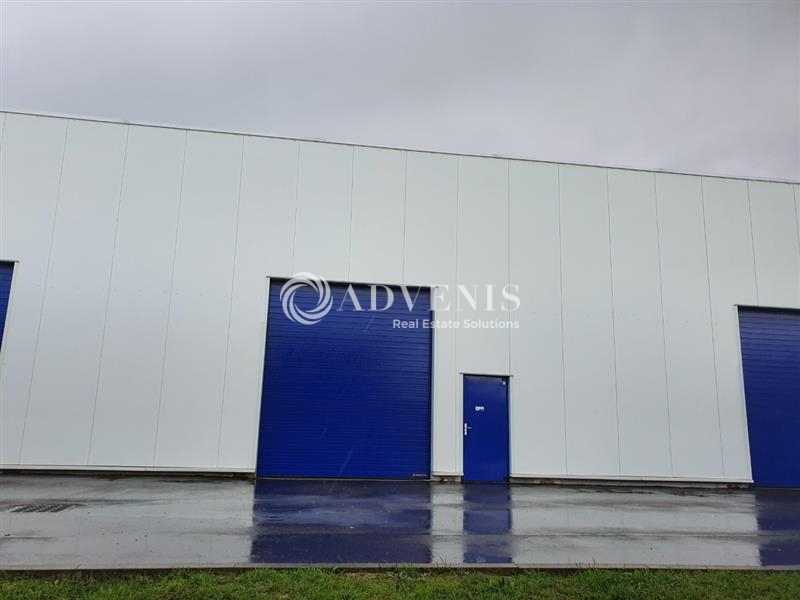 Location Activités Entrepôts PULNOY (54425) - Photo 2