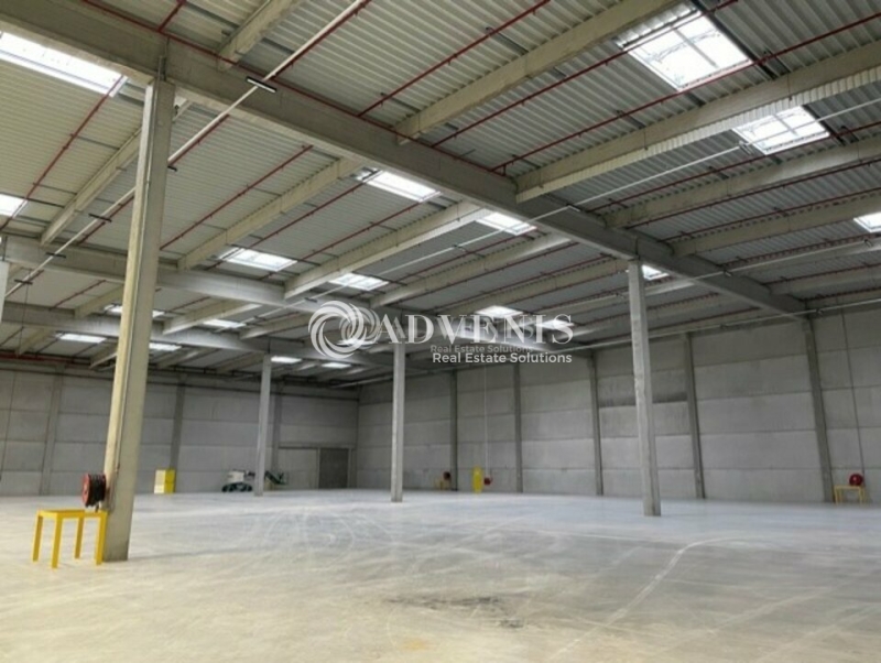 Location Entrepôts FONTENOY SUR MOSELLE (54840) - Photo 10