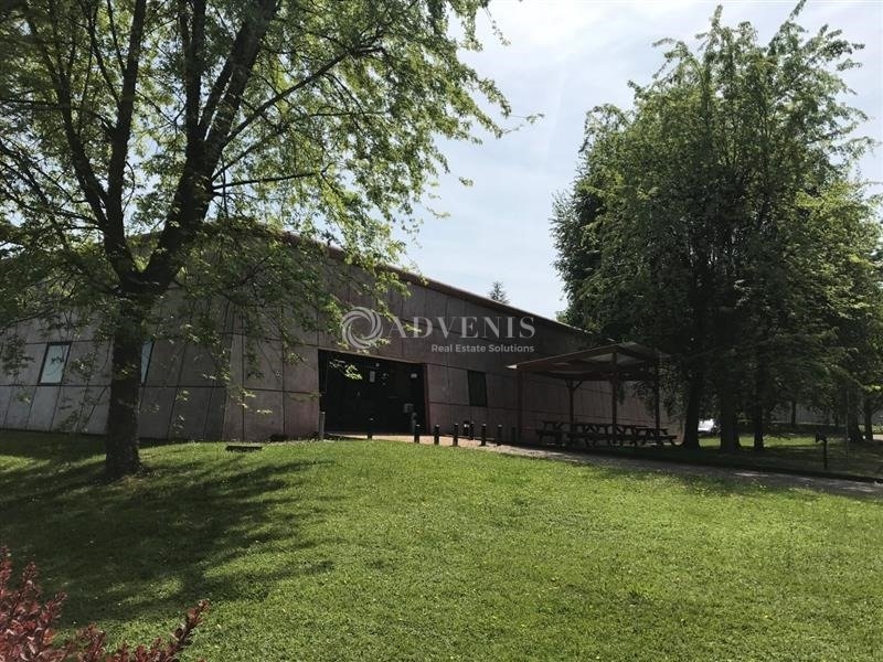 Location Bureaux EPINAL (88000) - Photo 6