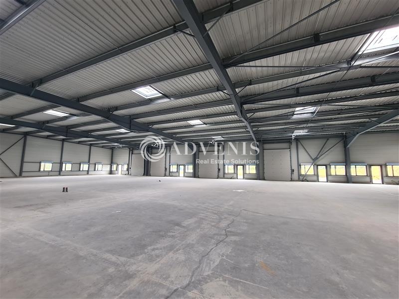 Location Activités Entrepôts LOUVIGNY (57420) - Photo 8