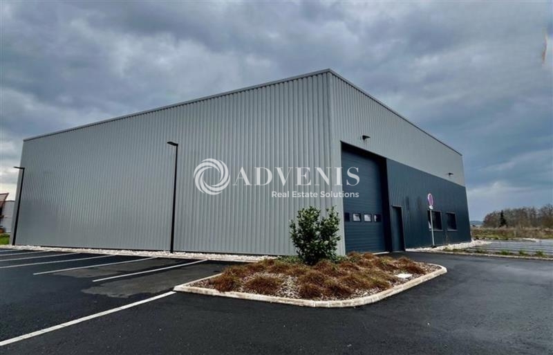 Location Activités Entrepôts DOMBASLE SUR MEURTHE (54110) - Photo 1