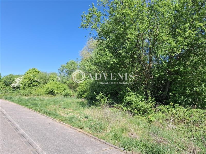 Vente Investisseur Terrain POMPEY (54340) - Photo 6