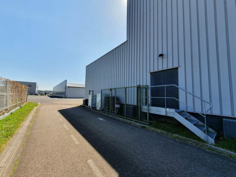 Location Activités Entrepôts METZ (57050) - Photo 9