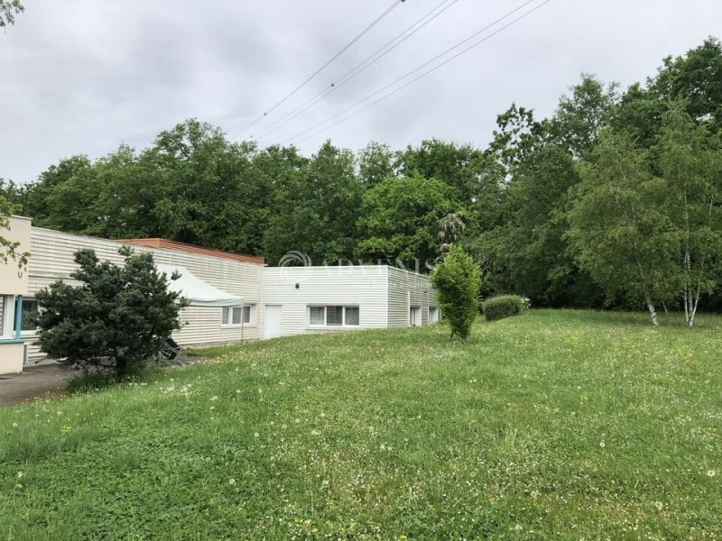 Vente Investisseur Activités Entrepôts MESSEIN (54850) - Photo 4
