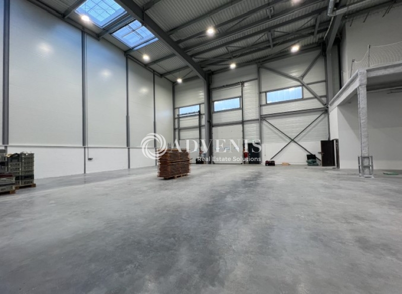 Location Activités Entrepôts SAINT AIGNAN GRANDLIEU (44860) - Photo 4