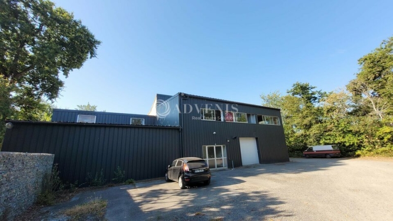 Vente Investisseur Activités Entrepôts HAUTE GOULAINE (44115) - Photo 1