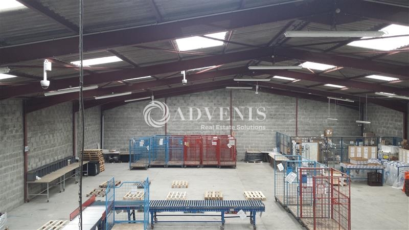 Location Activités Entrepôts CARQUEFOU (44470) - Photo 4