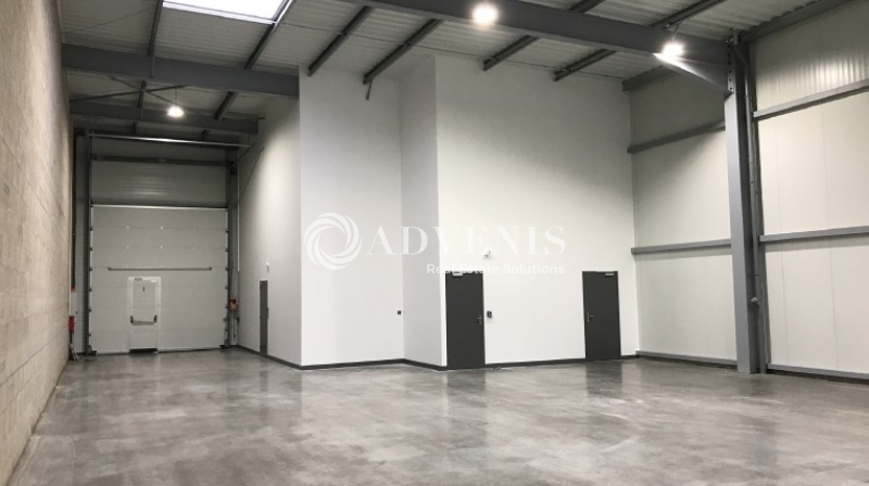 Location Activités Entrepôts SAINTE LUCE SUR LOIRE (44980) - Photo 4