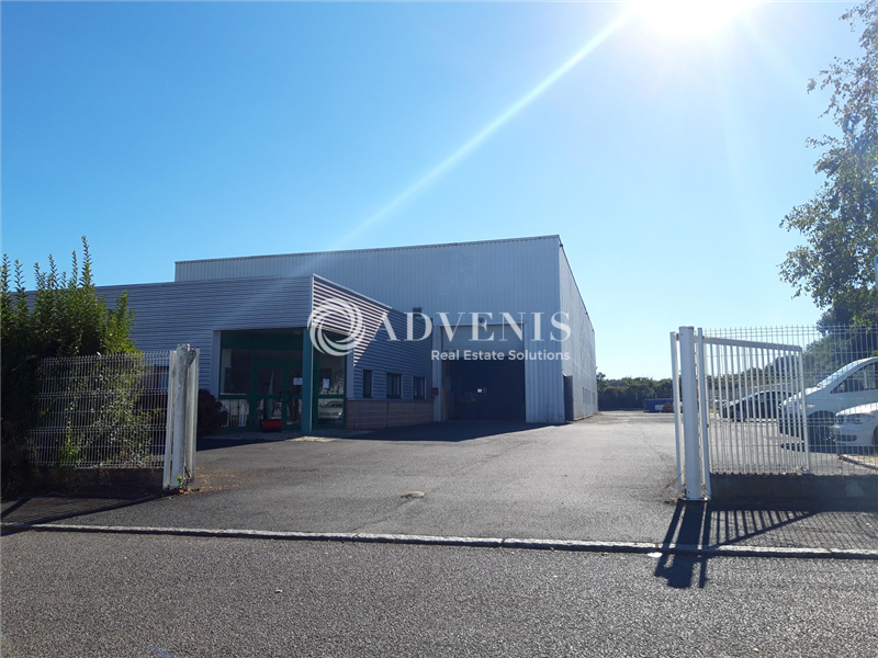 Location Activités Entrepôts SAINTE LUCE SUR LOIRE (44980) - Photo 1