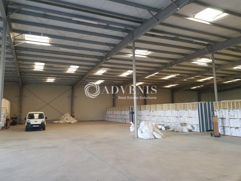 Location Entrepôts SAINTE LUCE SUR LOIRE (44980) - Photo 4