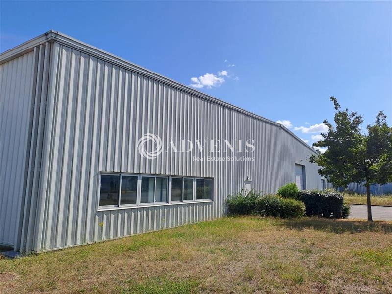 Location Entrepôts SAINTE LUCE SUR LOIRE (44980) - Photo 5