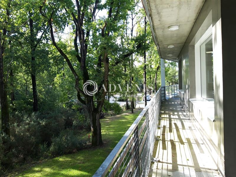 Location Bureaux SAINT AIGNAN GRANDLIEU (44860) - Photo 3