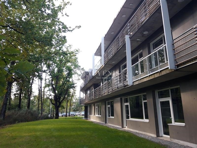 Location Bureaux SAINT AIGNAN GRANDLIEU (44860) - Photo 7