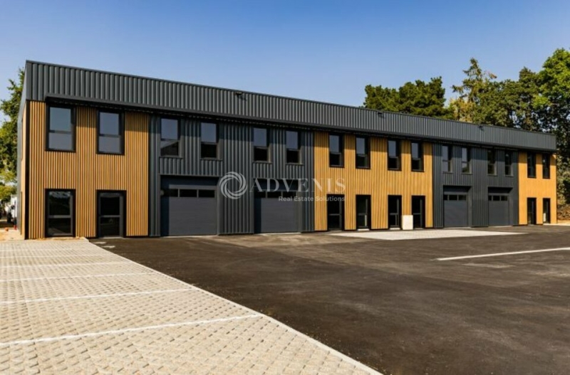 Vente Investisseur Activités Entrepôts VIGNEUX DE BRETAGNE (44360) - Photo 6
