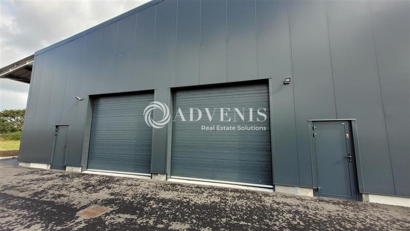 Location Activités Entrepôts MALVILLE (44260) - Photo 1
