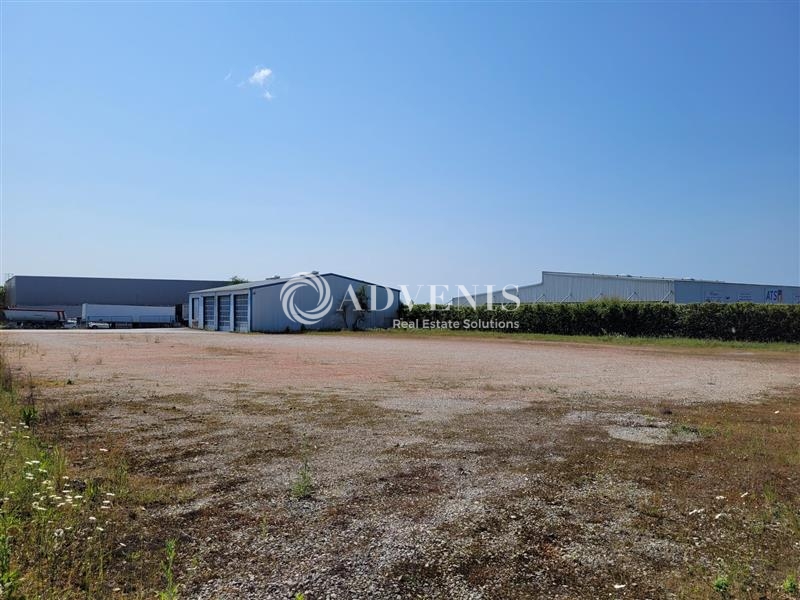 Location Activités Entrepôts MAUVES SUR LOIRE (44470) - Photo 3