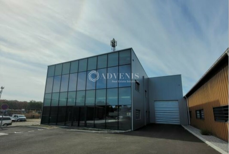 Location Activités Entrepôts AIGREFEUILLE SUR MAINE (44140) - Photo 6