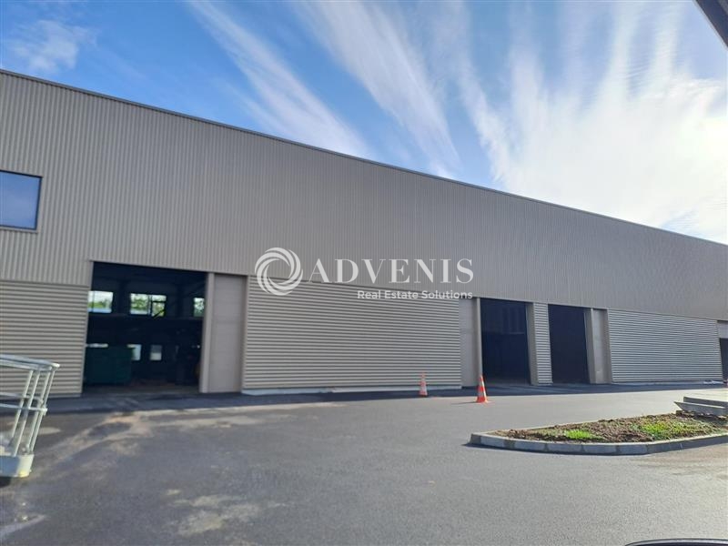 Location Activités Entrepôts CARQUEFOU (44470) - Photo 5